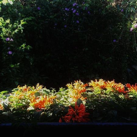 Dalat Inn Homestay מראה חיצוני תמונה
