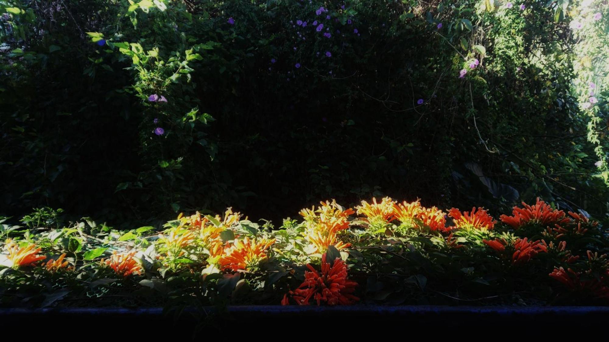 Dalat Inn Homestay מראה חיצוני תמונה