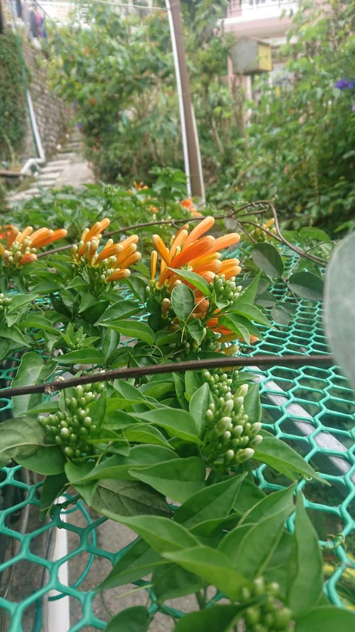Dalat Inn Homestay מראה חיצוני תמונה