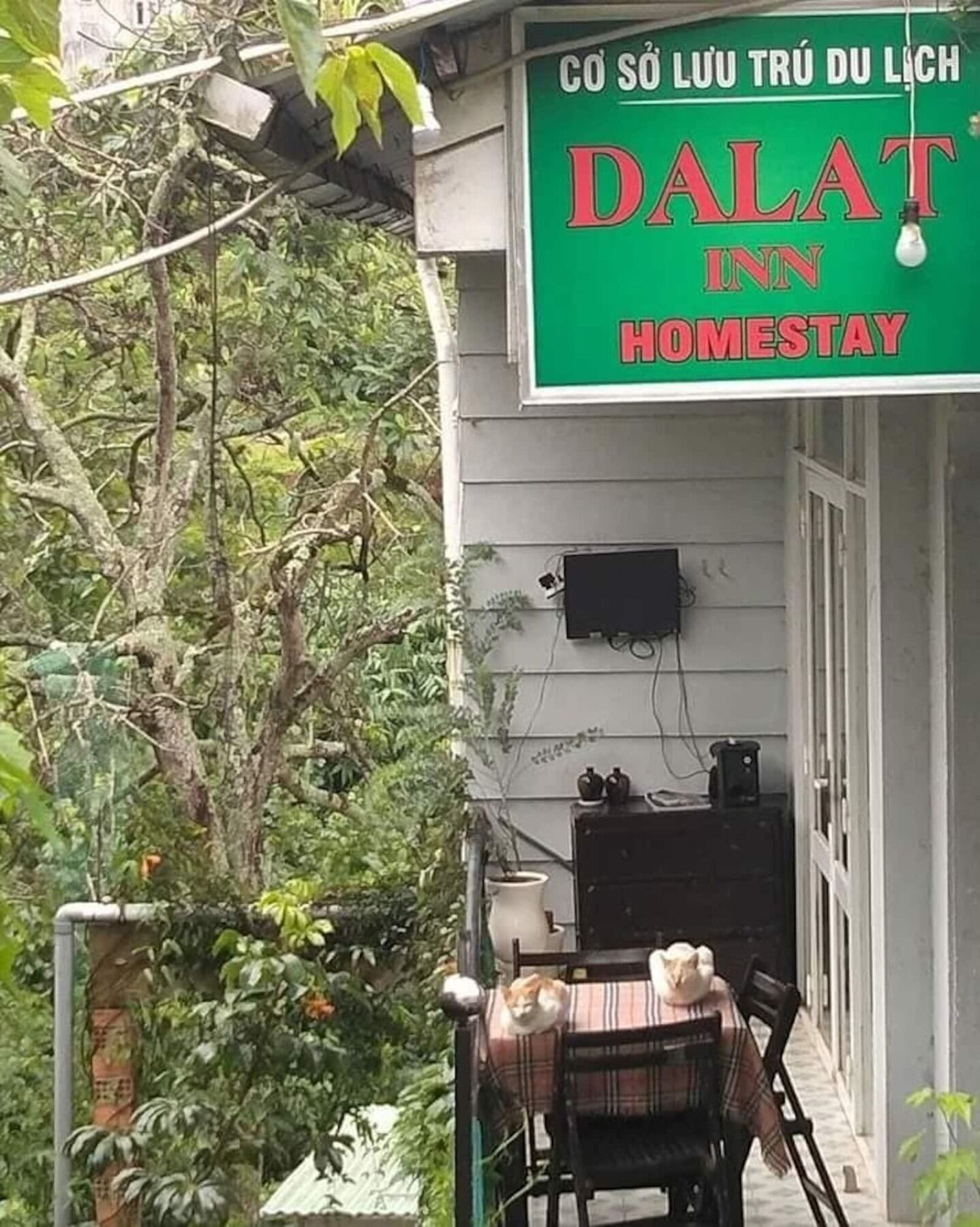 Dalat Inn Homestay מראה חיצוני תמונה